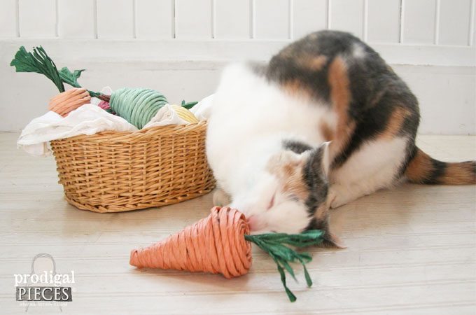Natural Cat Toys You Can DIY Easy