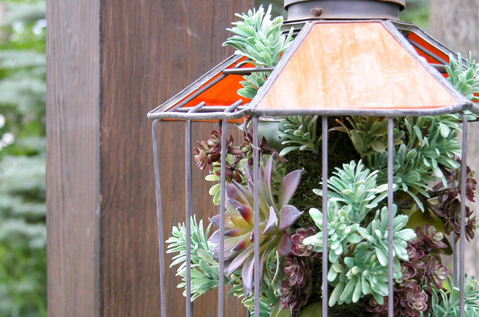 Succulent Planter from Broken Bird Feeder