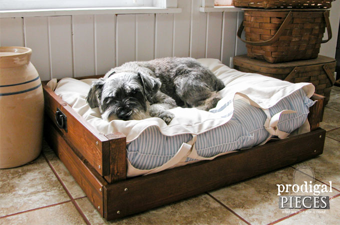 Pet Bed DIY ~ Building Plans & Tutorial