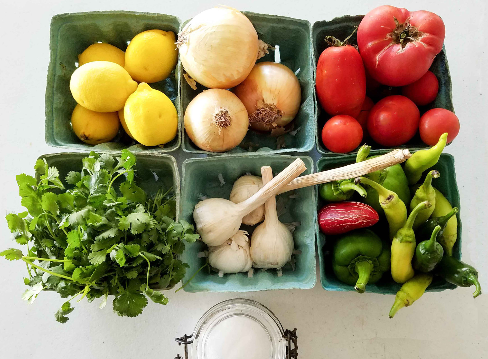 Garden Salsa ~ Fresh or Fermented