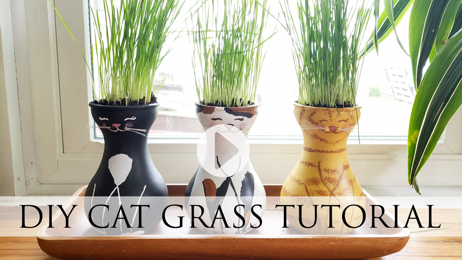 Easy & Fun DIY Cat Grass Tutorial Video by Larissa of Prodigal Pieces | prodigalpieces.com prodigalpieces