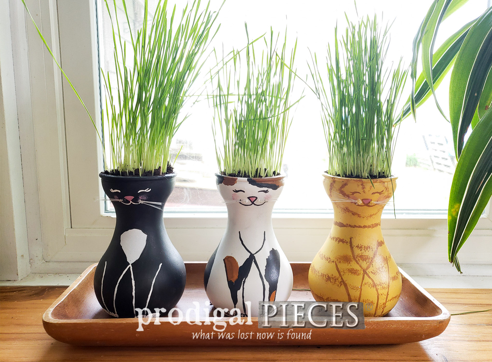 DIY Cat Grass Tutorial for Cats, Dogs, & You
