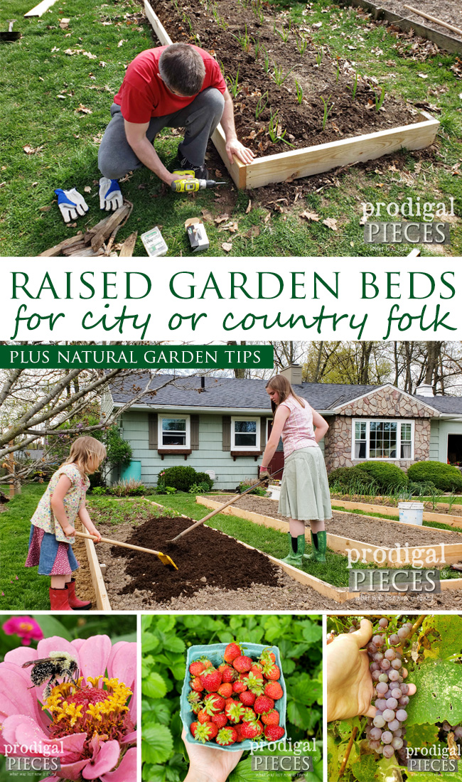 Have your own garden in a city or country setting with this easy & affordable DIY garden bed tutorial | Video tour by Larissa of Prodigal Pieces | prodigalpieces.com prodigalpieces diy garden home food