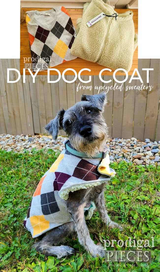 Adorable DIY Dog Coat made from Upcycled Sweaters by Larissa of Prodigal Pieces | prodigalpieces.com prodigalpieces dogs pets sewing refashion upcycled