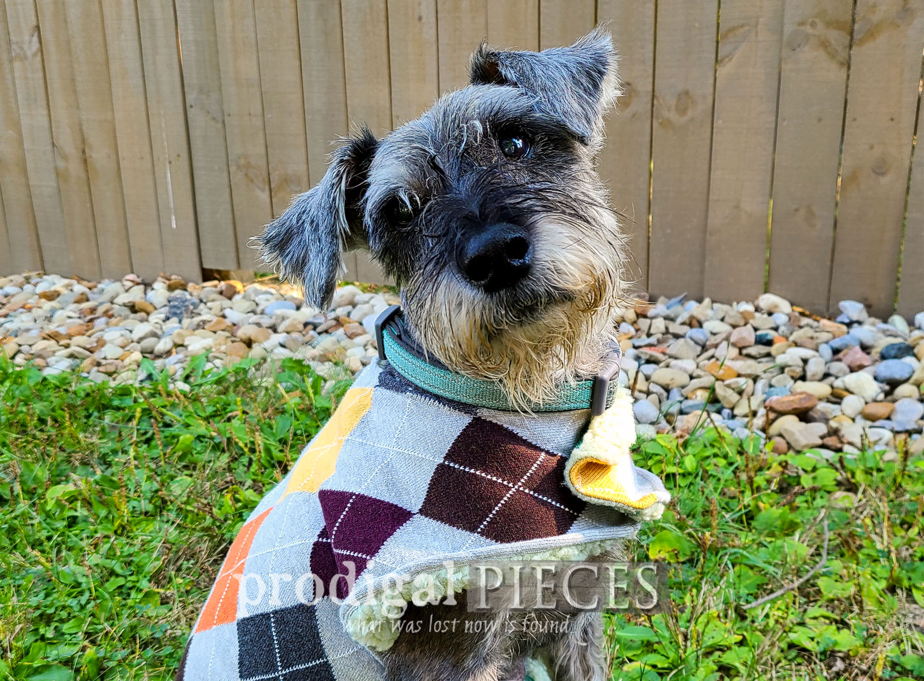 DIY Dog Coat from Upcycled Sweaters