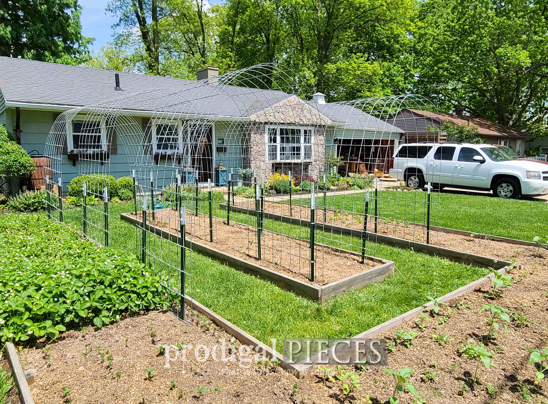 DIY Arched Garden Trellis ~ Grow UP