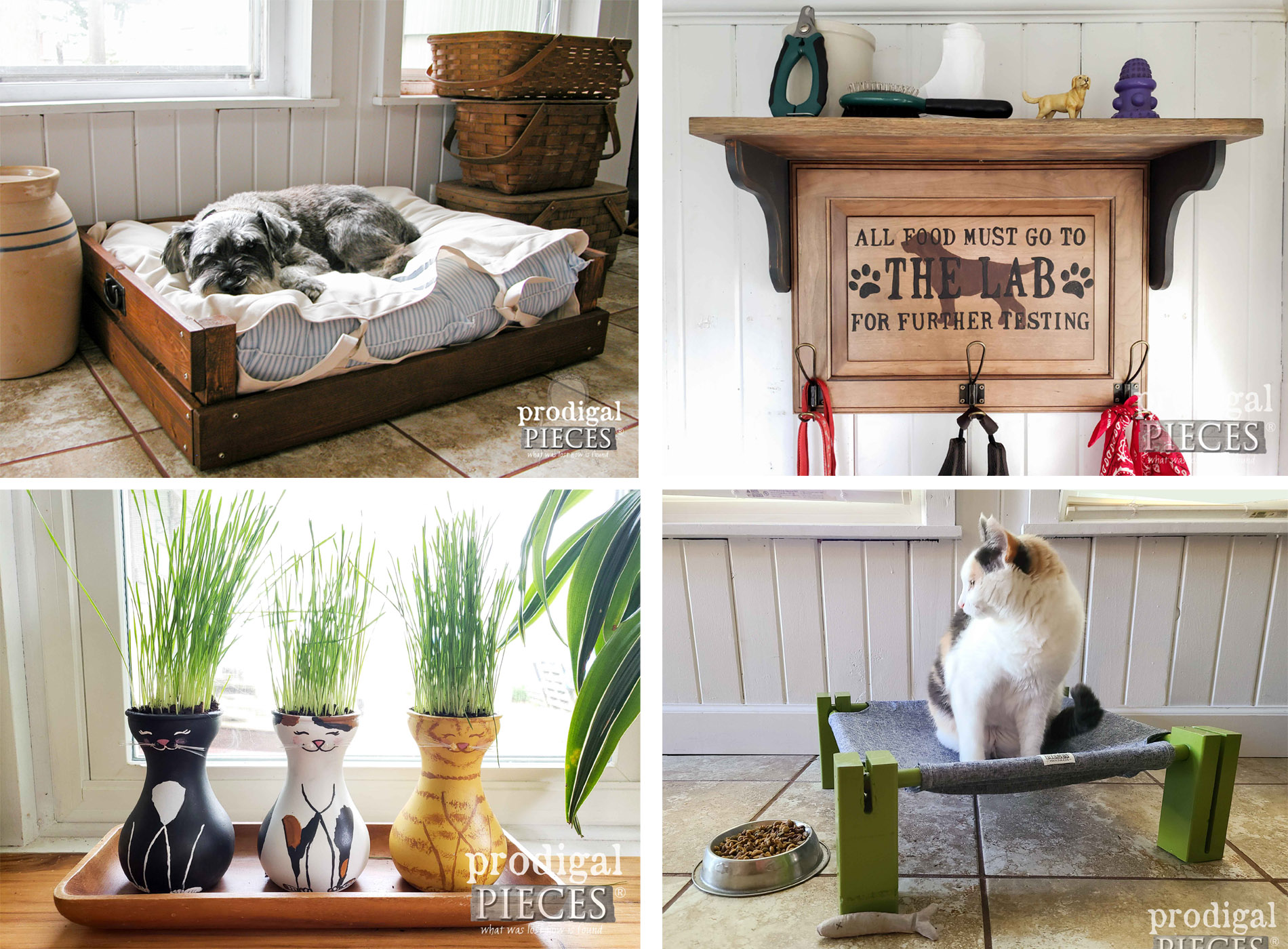 DIY Pet Gifts for Furry Family or Shelter Pets