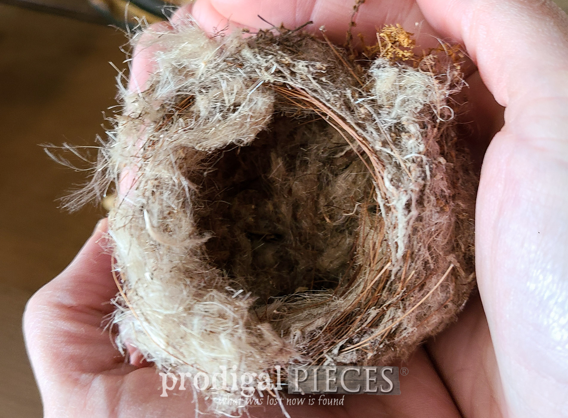 Preparing for an Empty Nest