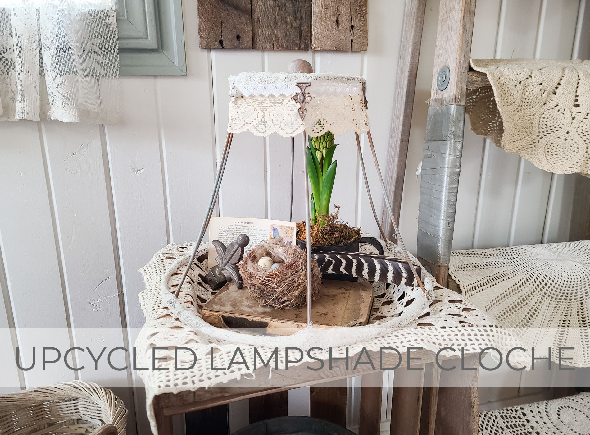 Upcycled Lampshade Cloche