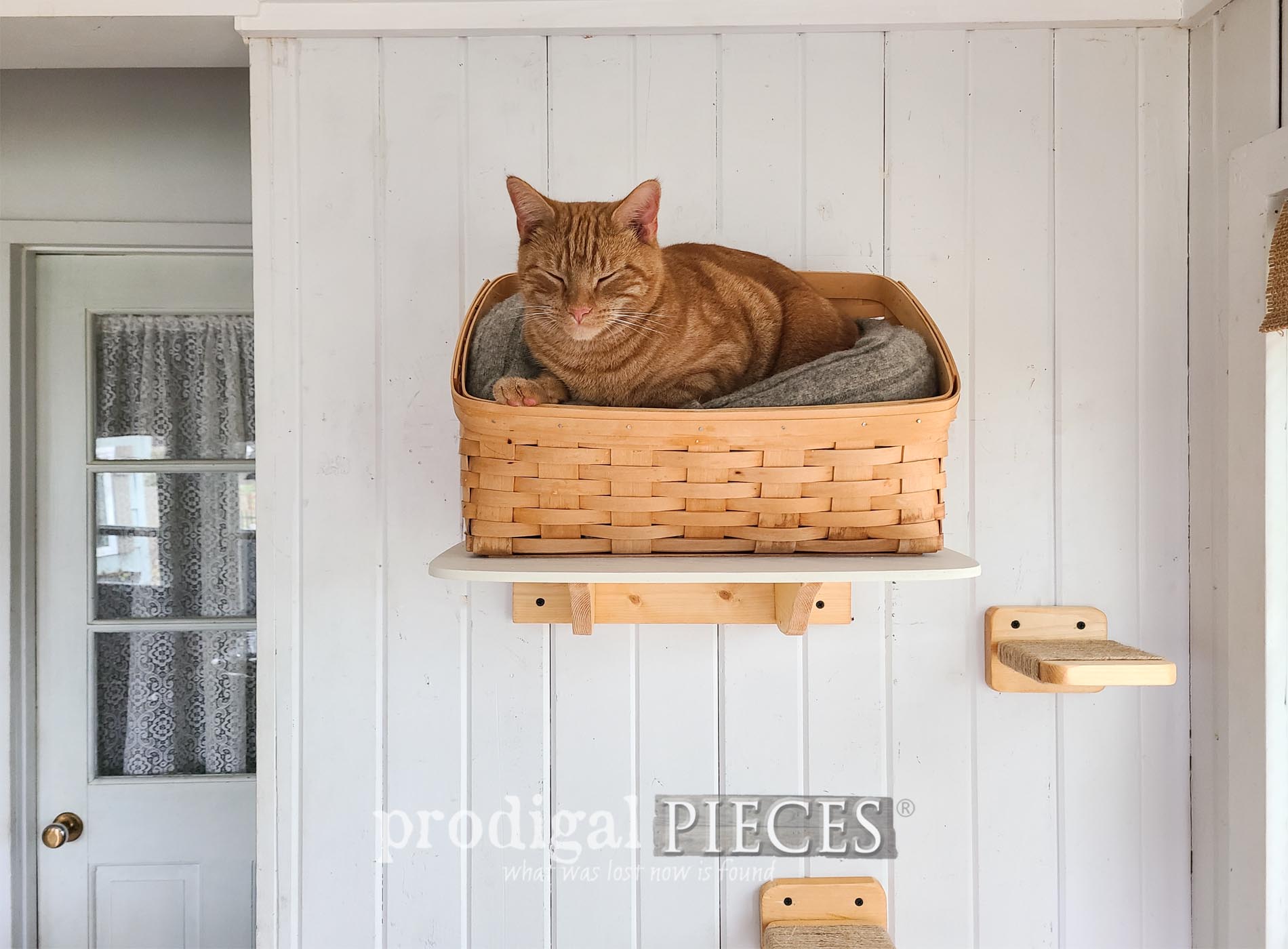 DIY Floating Cat Bed
